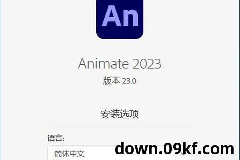 软件包安装程序下载