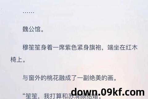 小说下载 mp4