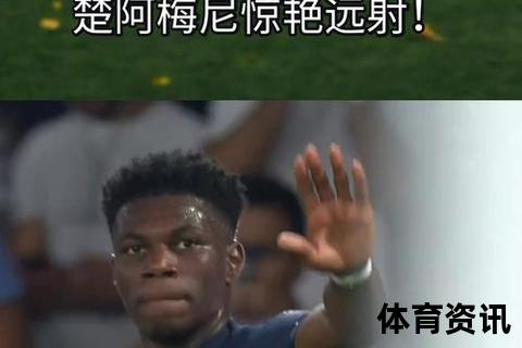法国2-0爱尔兰延续全胜_楚阿梅尼世界波制胜
