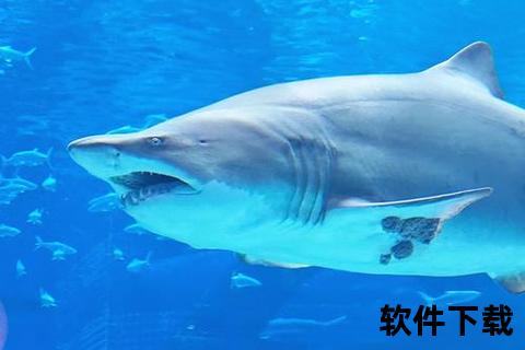 超强八爪鱼软件助你轻松玩转数据海洋世界