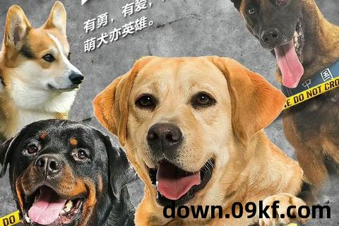 警花相伴txt下载