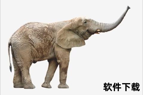 动物下载中心_免费高清图片与视频素材资源一站式获取  第1张
