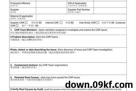 8d报告模板免费下载