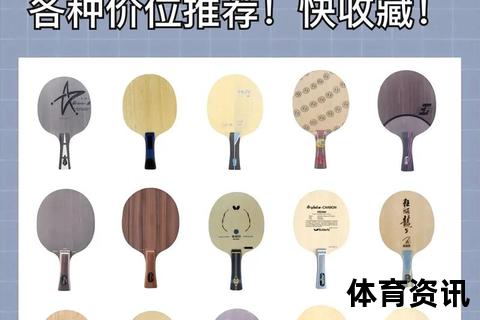 乒乓球拍多少钱？100-500元主流价位解析及高端款推荐