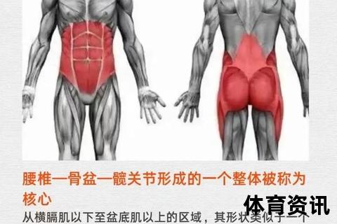 腰腹力量强化指南-核心肌群高效训练与进阶策略
