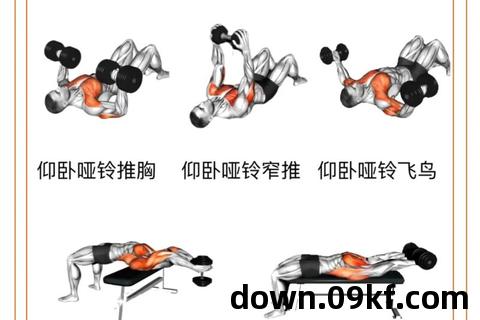哑铃健身教程下载
