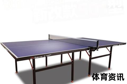 乒乓球台品牌推荐：十大优选品牌及选购指南解析