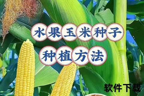 玉米视频下载教程：安卓手机安装步骤与安全指南