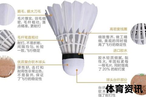 羽毛球24磅解析：弹性与控制的平衡点