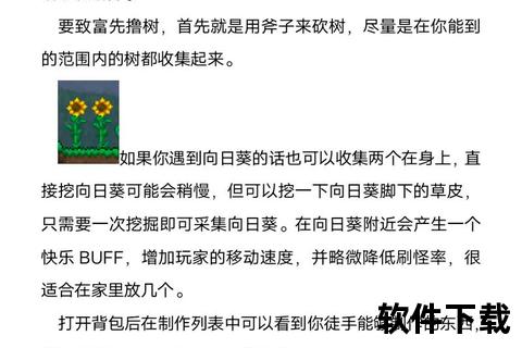 泰拉瑞亚正版下载指南-官方安全获取途径及安装教程
