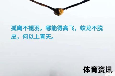前进之鹰：展翅高飞_翱翔绿茵的制胜之道