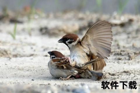 激情 激情