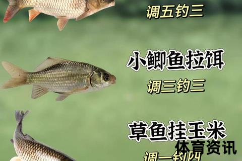 钓鱼频道推荐-湖南台与CCTV5垂钓节目解析