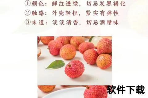 荔枝下载全攻略-海量资源获取与高速技巧详解