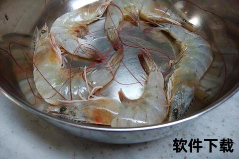 潮汕虾K下载指南-正宗配方与鲜香风味全解析