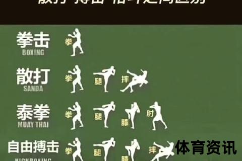 拳击VS散打实战对决-力量与技巧谁更胜一筹