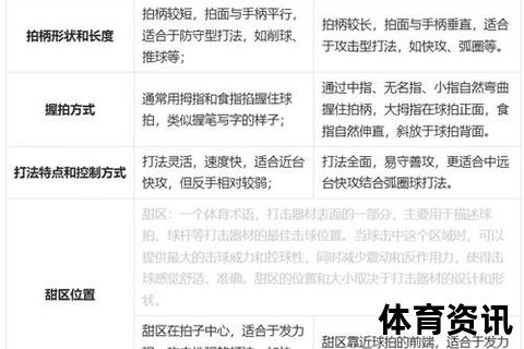 乒乓球拍胶皮选购指南：性能解析与实战技巧选择