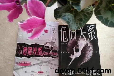 危险关系小说下载