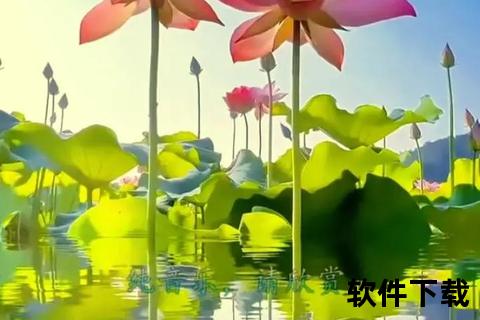 荷花阿姨视频免费下载_高清无水印资源一站获取
