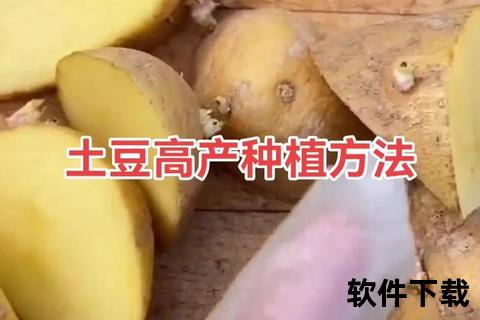 土豆下载安装教程-详细步骤解析与常见问题处理指南