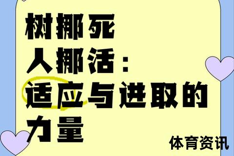 灵活变通之道：从树挪死到人挪活的生存智慧启示