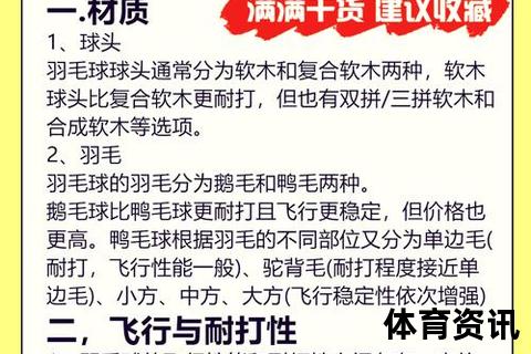 羽毛球耐打品牌推荐-十大热门球款实测对比及选购指南