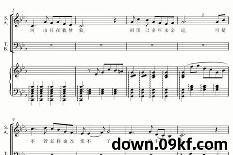 我的中国心伴奏mp3下载