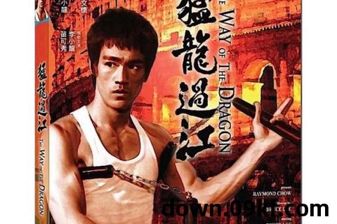 猛龙过江txt下载