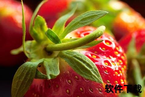 草莓视频下载指南：高清资源获取与安全缓存技巧全解析