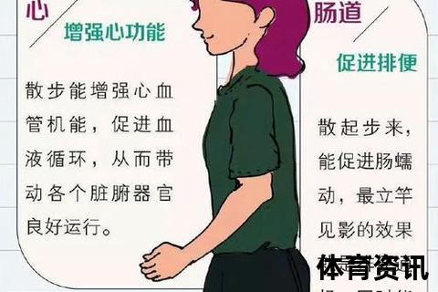 合理步幅解析：健康行走的黄金参数与科学建议