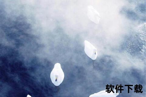 高清壁纸APP免费下载_海量手机桌面美化素材一键获取-精选资源库