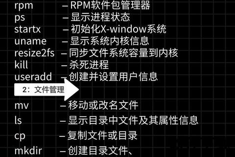 Linux下载文件到本地-命令行操作步骤与实例详解