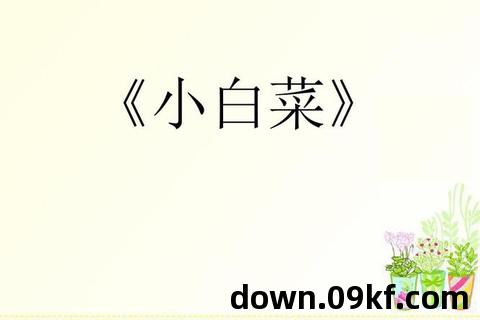 小白菜软件下载
