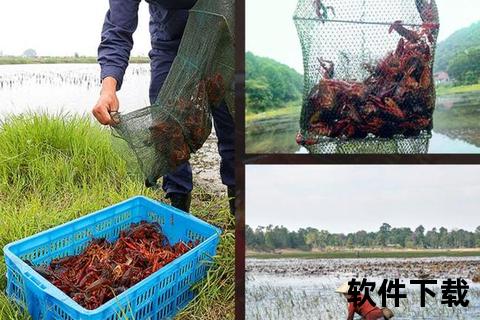 九安龙虾app下载指南-安全便捷安装教程_鲜活美味速达体验