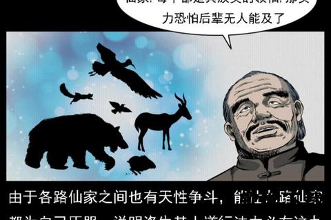 幽冥诡策制霸地府潜能觉醒 智趣双修纵横三界玄机局 幽冥诡策制霸地府潜能觉醒 智趣双修纵横三界玄机局