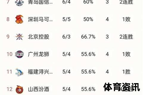 CBA常规赛轮次解析：赛制安排与赛季进程全透视