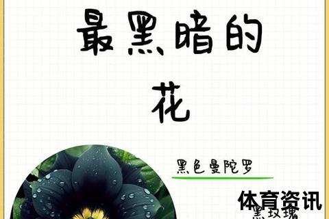 平索里奥：穿越时空的隐秘传说与命运交织