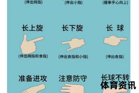 乒乓球入门指南：零基础快速掌握发球_接球与步法技巧