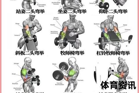 手臂增肌高效训练指南：科学方法与饮食计划全解析