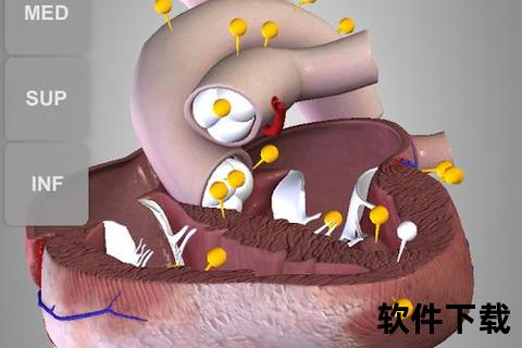 安卓破解版下载，anatomy安卓破解版下载