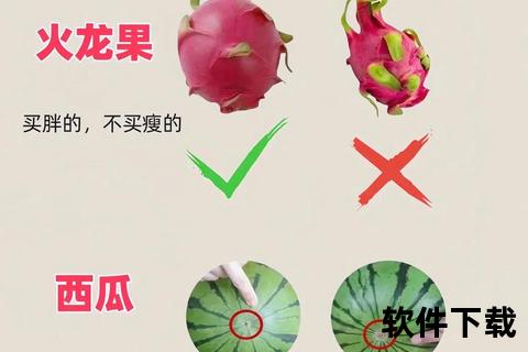 水果视频下载教程：高清资源获取与保存方法解析