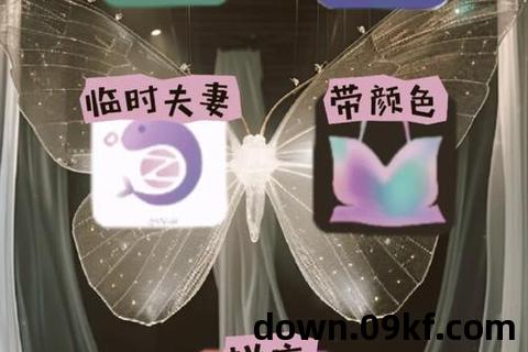 下载成人app