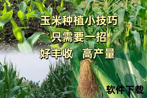 玉米视频下载教程：安卓手机安装步骤与安全指南
