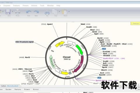 革新升级SnapGene软件轻松实现高效基因克隆设计优化 革新升级SnapGene软件轻松实现高效基因克隆设计优化