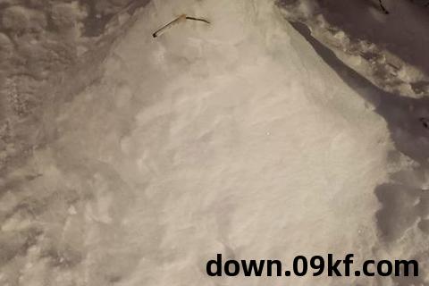 雪人兄弟手机版下载