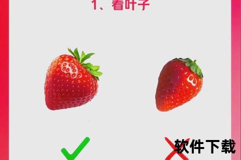 草莓视频下载指南：高清资源获取与安全缓存技巧全解析