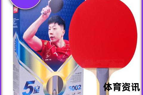 乒乓球拍多少钱？100-500元主流价位解析及高端款推荐