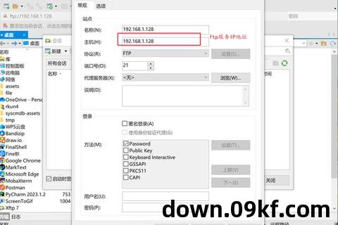 FTP下载地址使用指导与特色分享