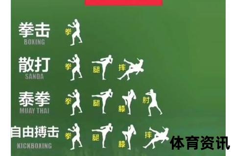 散打起源探秘：中国武术文化的国家归属解析