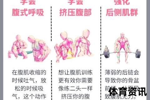 腹部力量提升指南：核心肌群强化与高效训练策略